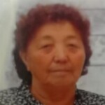 Аватар (Бокоева Тюлюкан - 100.000.062.567)